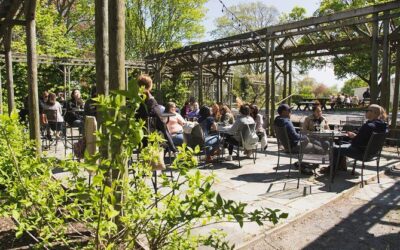 Best Tours & Experiences in Long Island New York