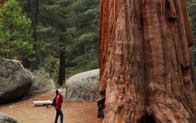Best Tours & Experiences in Sausalito California