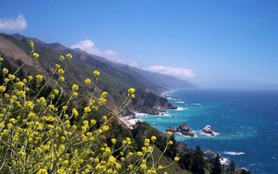 Best Tours & Experiences in Monterey California