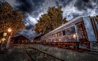 Best Tours & Experiences in Sacramento California