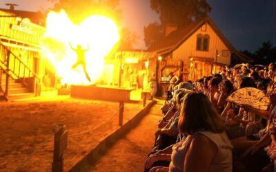 Best Tours & Experiences in Tucson Arizona