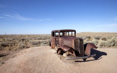 Best Tours & Experiences in Petrified Forest National Park