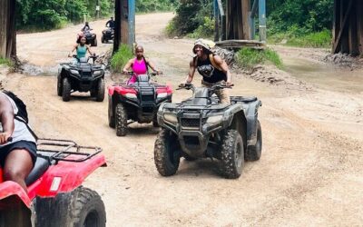 Best Tours & Experiences in Houston Texas