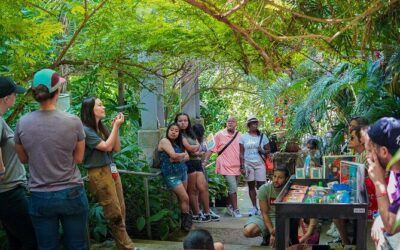 Best Tours & Experiences in Dallas Texas