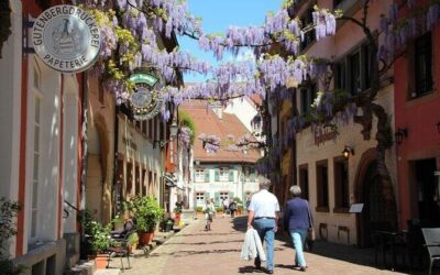 Best Tours & Experiences in Colmar France