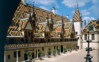 Best Tours & Experiences in Dijon France