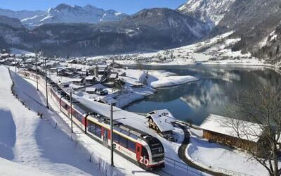 Best Tours & Experiences in Basel Switzerland