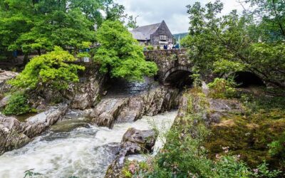 Best Tours & Experiences in Snowdonia Wales