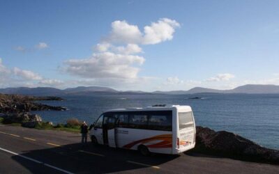 Best Tours & Experiences in Dingle Peninsula Ireland