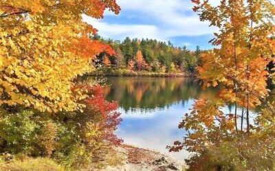 Best Tours & Experiences in North Conway New Hampshire