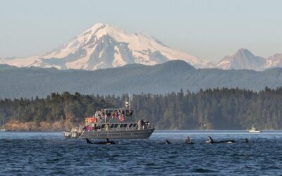Best Tours & Experiences in Orcas Island Washington
