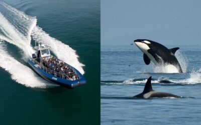 Best Tours & Experiences in Tacoma Washington