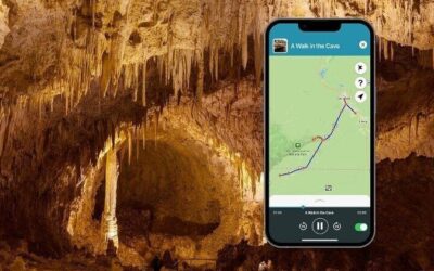 Best Tours & Experiences in Carlsbad New Mexico
