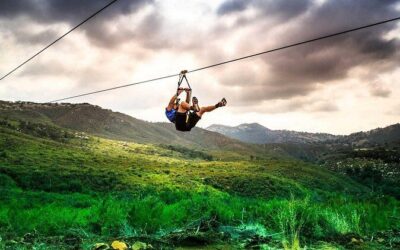Best Tours & Experiences in Ojai California