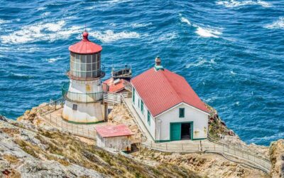 Best Tours & Experiences in Point Reyes California