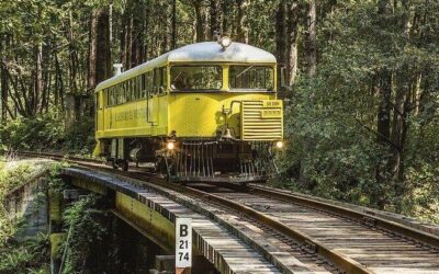 Best Tours & Experiences in Mendocino Coast California