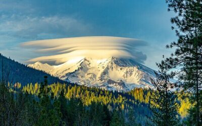 Best Tours & Experiences in Shasta Cascade California