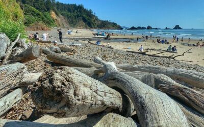 Best Tours & Experiences in Cannon Beach Oregon