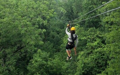 Best Tours & Experiences in Galena Illinois