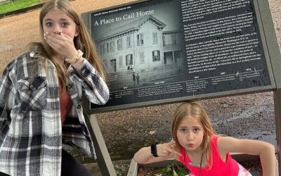 Best Tours & Experiences in Springfield Illinois