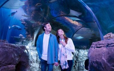 Best Tours & Experiences in Brainerd Minnesota