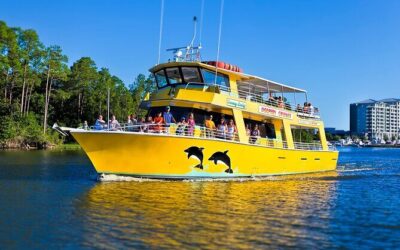 Best Tours & Experiences in Tuscaloosa Alabama