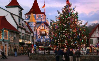 Best Tours & Experiences in Helen Georgia