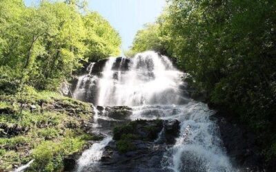 Best Tours & Experiences in Blue Ridge Georgia