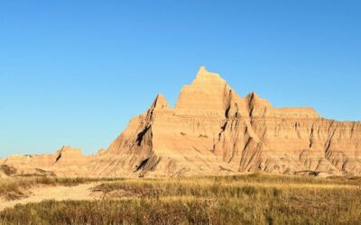 Best Tours & Experiences in Wall Drug South Dakota