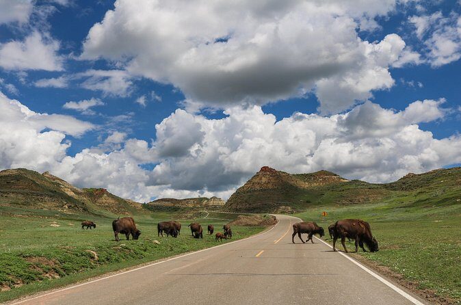 I migliori tour ed esperienze nel Parco nazionale Theodore Roosevelt
