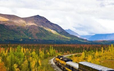 Best Tours & Experiences in Anchorage Denali Alaska