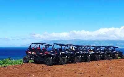 Best Tours & Experiences in Lahaina Maui Hawaii