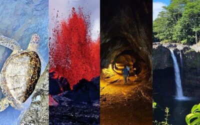 Best Tours & Experiences in Hilo Hawaii