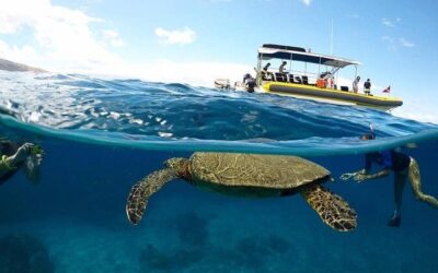 Best Tours & Experiences in Lanai Hawaii