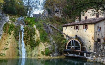 Best Tours & Experiences in Treviso Italy