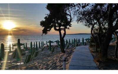 Best Tours & Experiences in Gallipoli Italy