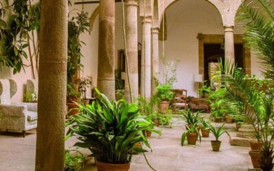 Best Tours & Experiences in Caceres Spain