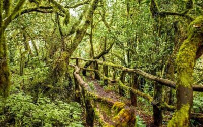 Best Tours & Experiences in San Sebastian de la Gomera