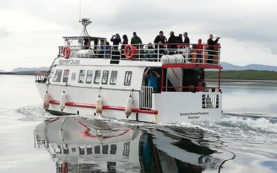 Best Tours & Experiences in Westport Ireland