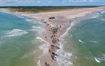 Best Tours & Experiences in Skagen Denmark