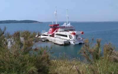 Best Tours & Experiences in Burgas Bulgaria