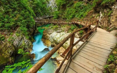 Best Tours & Experiences in Bled Vintgar Gorge Slovenia