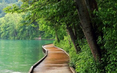 Best Tours & Experiences in Postojna Cave Slovenia