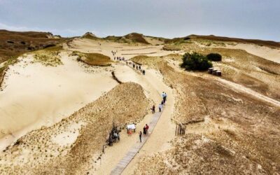 Best Tours & Experiences in Curonian Spit Lithuania