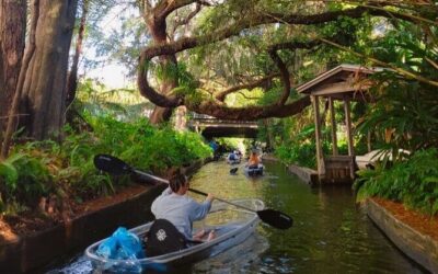 Best Tours & Experiences in Winter Park Florida