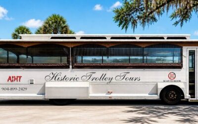 Best Tours & Experiences in Amelia Island Florida