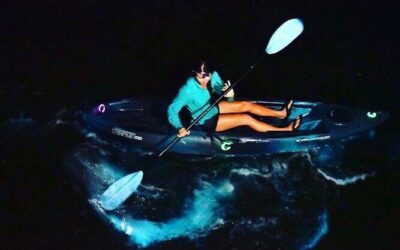 Best Tours & Experiences in Cocoa Beach Florida