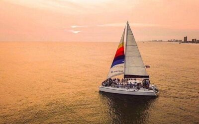 Best Tours & Experiences in Panama City Beach Florida