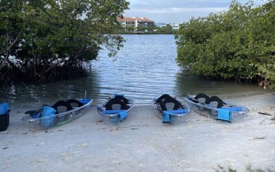Best Tours & Experiences in Jupiter Florida