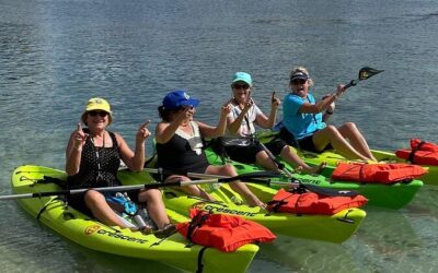 Best Tours & Experiences in Crystal River Florida